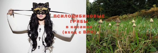 мет Красноперекопск